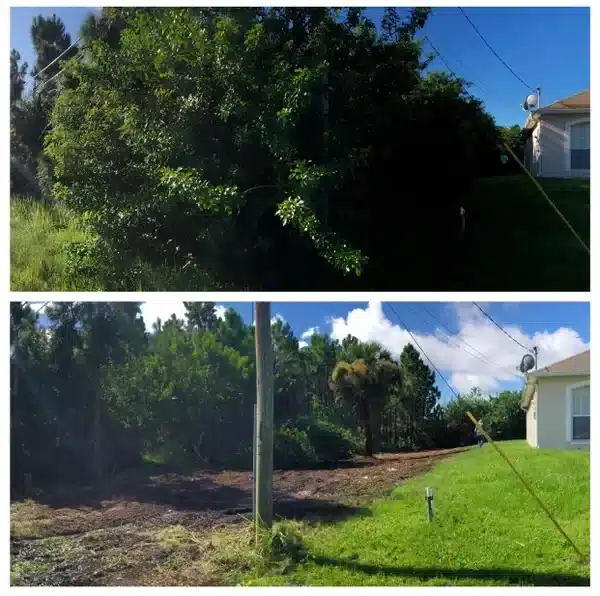before-after-2