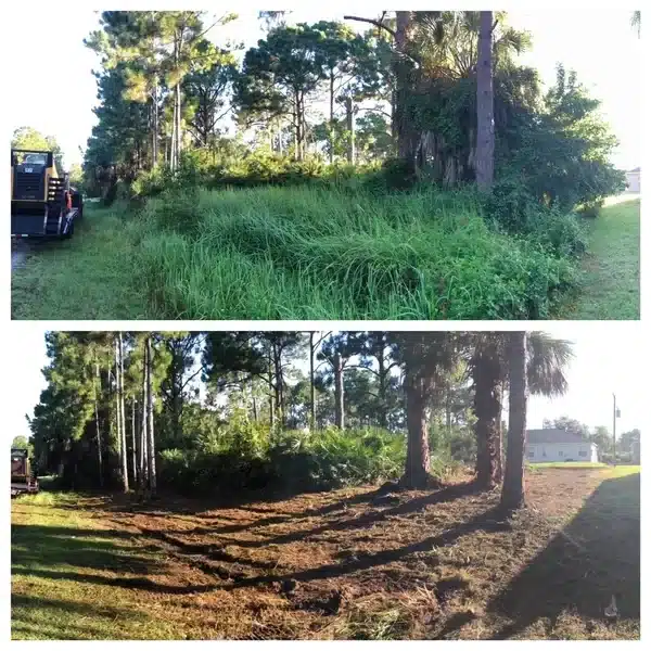 before-after-4