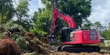 land-clearing-alternate-image