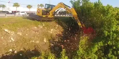 nuisance-vegetation-removal-image