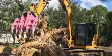 What Is Root Raking Root Raking - All Pro Land Clearing and Heavy Brush Mowing
