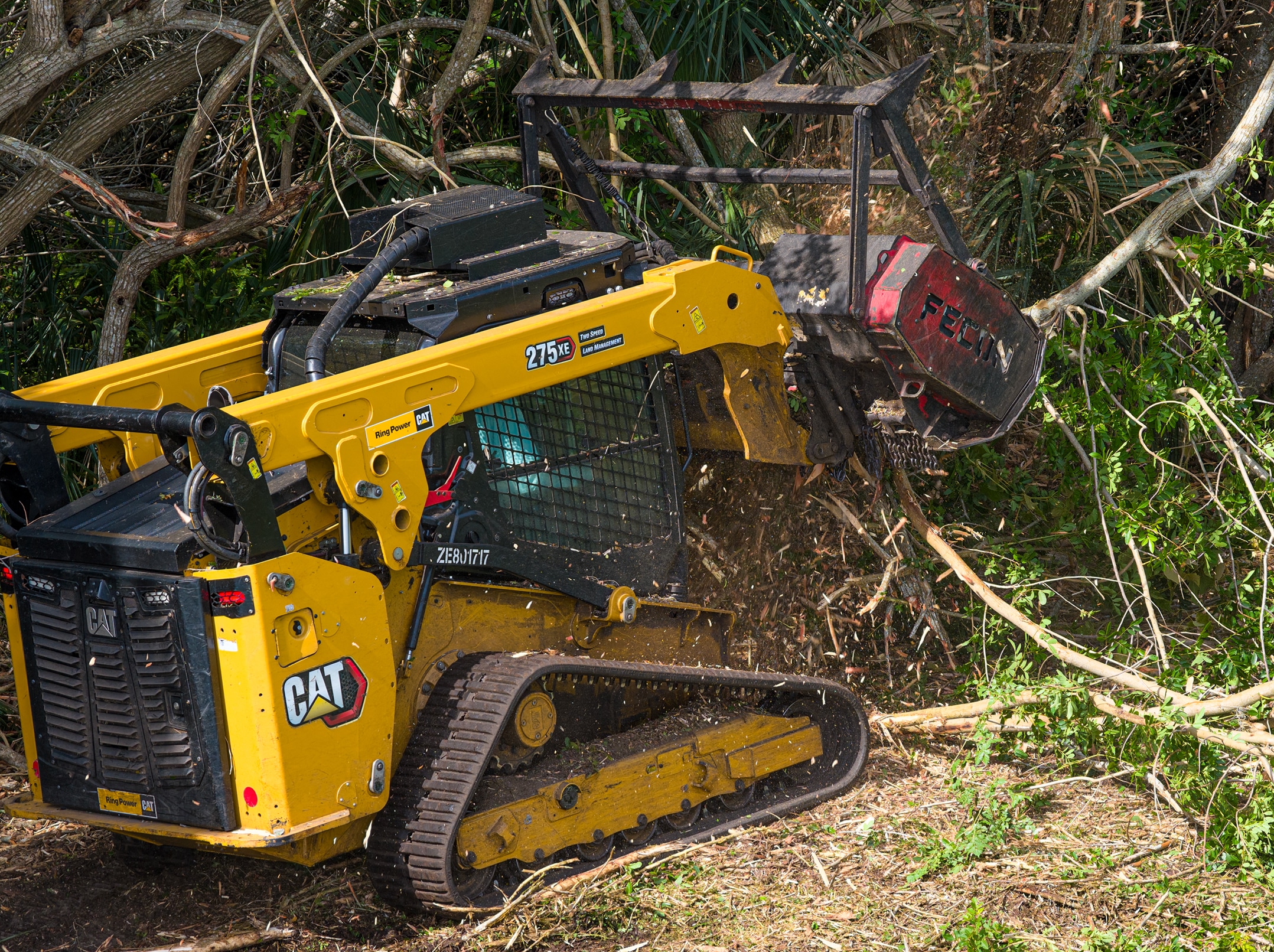APLC-Forestry-Grinding 1